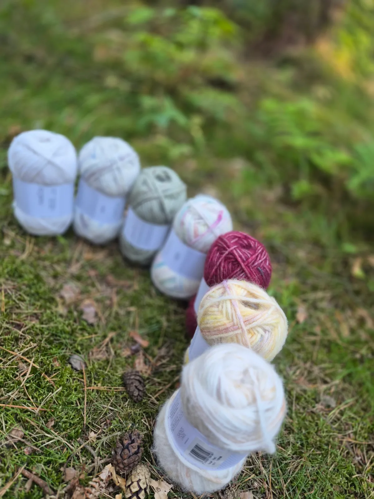 Poppy – Sandnes